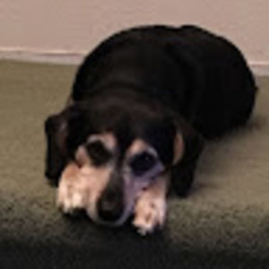 Meet your Posher, Mila